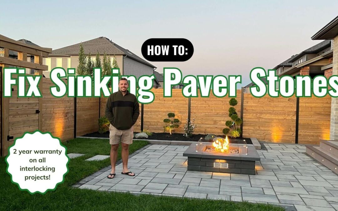 Say Goodbye to Sinking Pavers with Tree Point Construction’s Expert Tips!